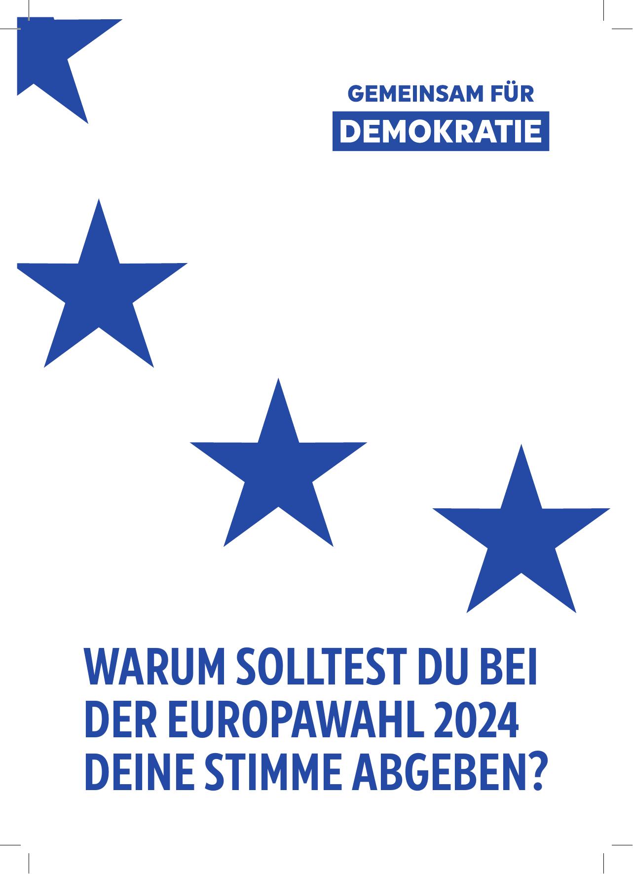 together.eu_Why should you consider voting_DE.pdf